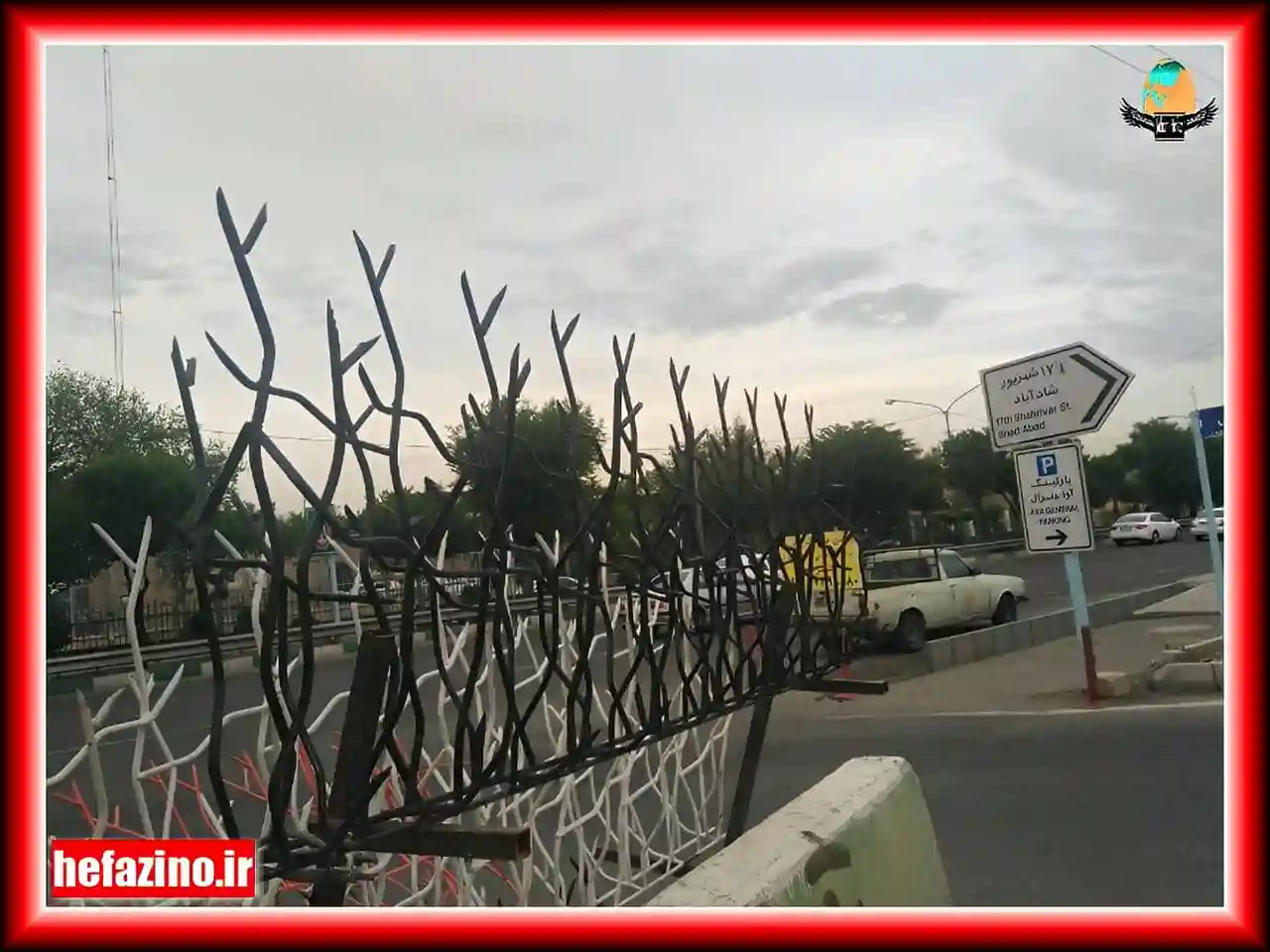 انواع حفاظ شاخ گوزنی انواع حفاظ شاخ گوزنی