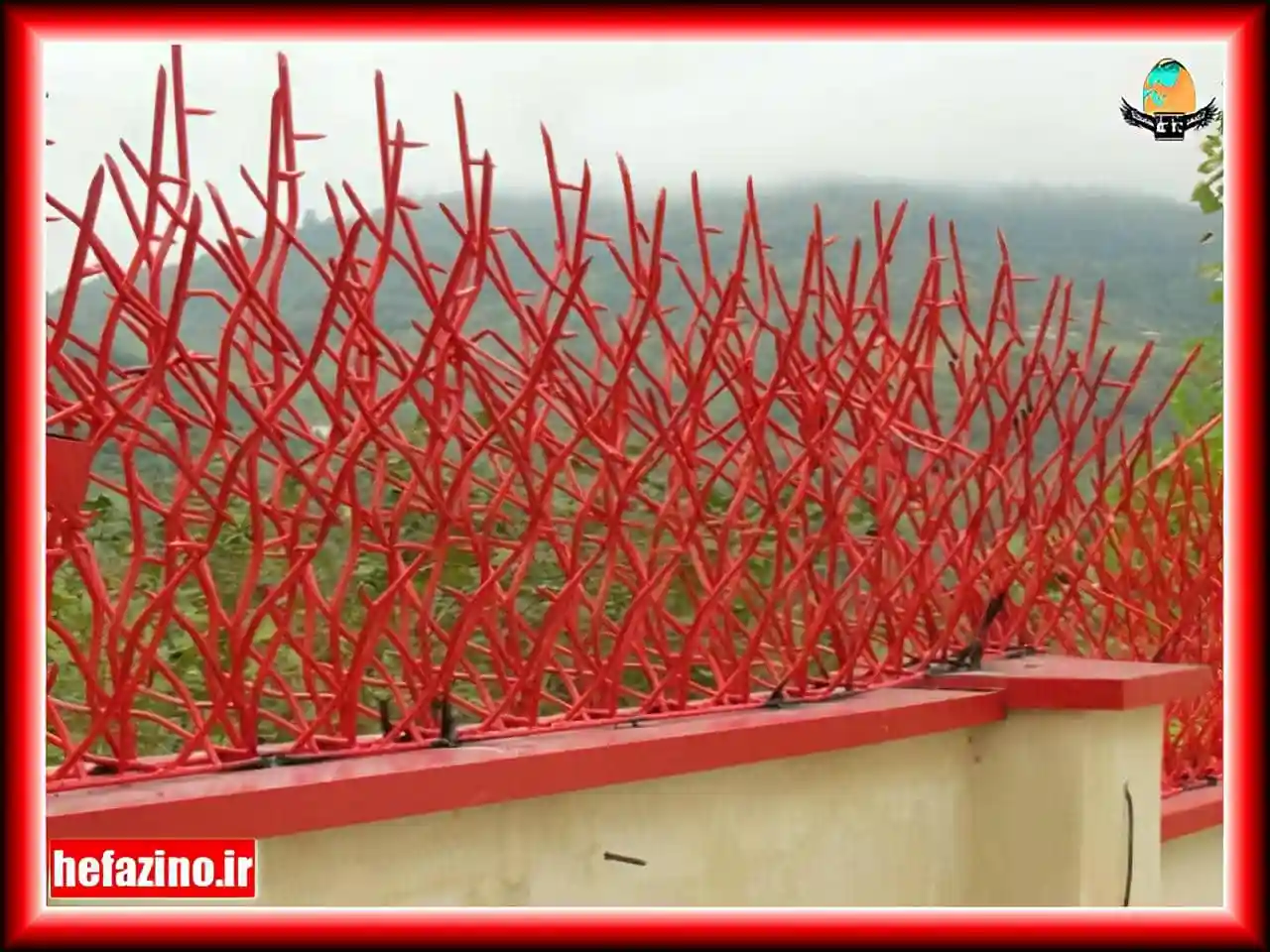 حفاظ شاخ گوزنی - تصویر 2