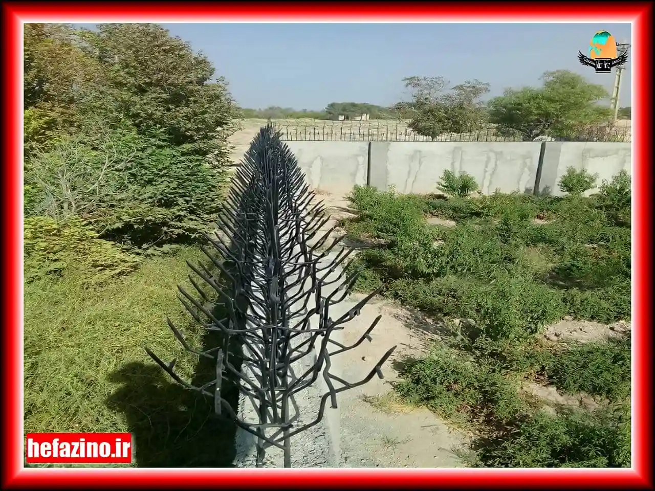 مزایای حفاظ شاخ گوزنی مزایای حفاظ شاخ گوزنی