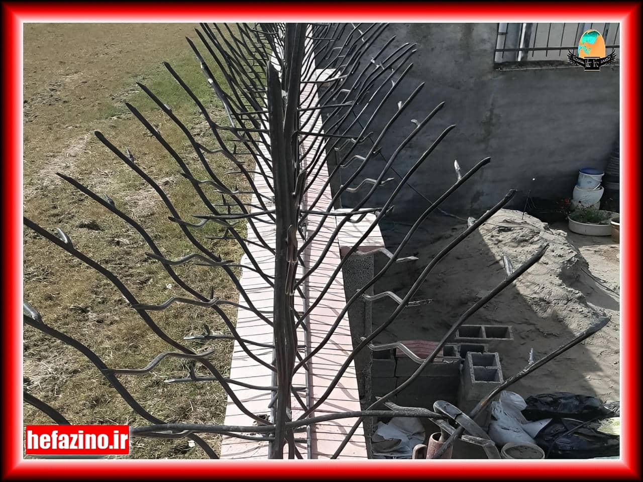 مشخصات ظاهری حفاظ شاخ گوزنی مشخصات ظاهری حفاظ شاخ گوزنی