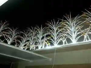 حفاظ لیلیوم