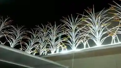 حفاظ لیلیوم