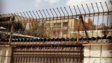 حفاظ سرنیزه ای