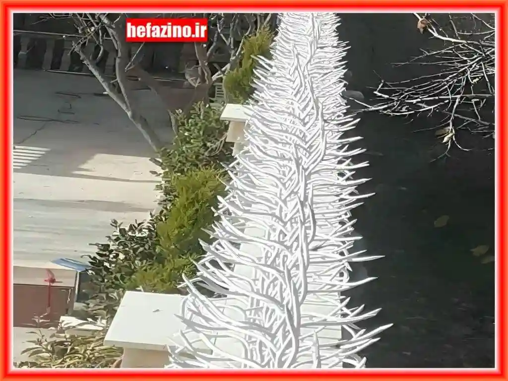 انواع مختلف حفاظ شاخ گوزنی انواع مختلف حفاظ شاخ گوزنی