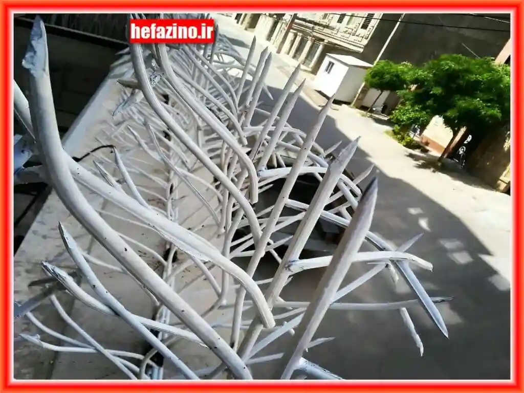 قیمت حفاظ شاخ گوزنی قیمت حفاظ شاخ گوزنی