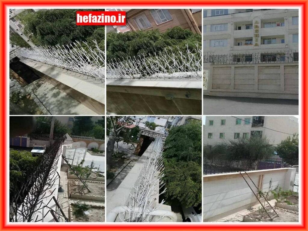 حفاظ شاخ گوزنی حفاظ شاخ گوزنی