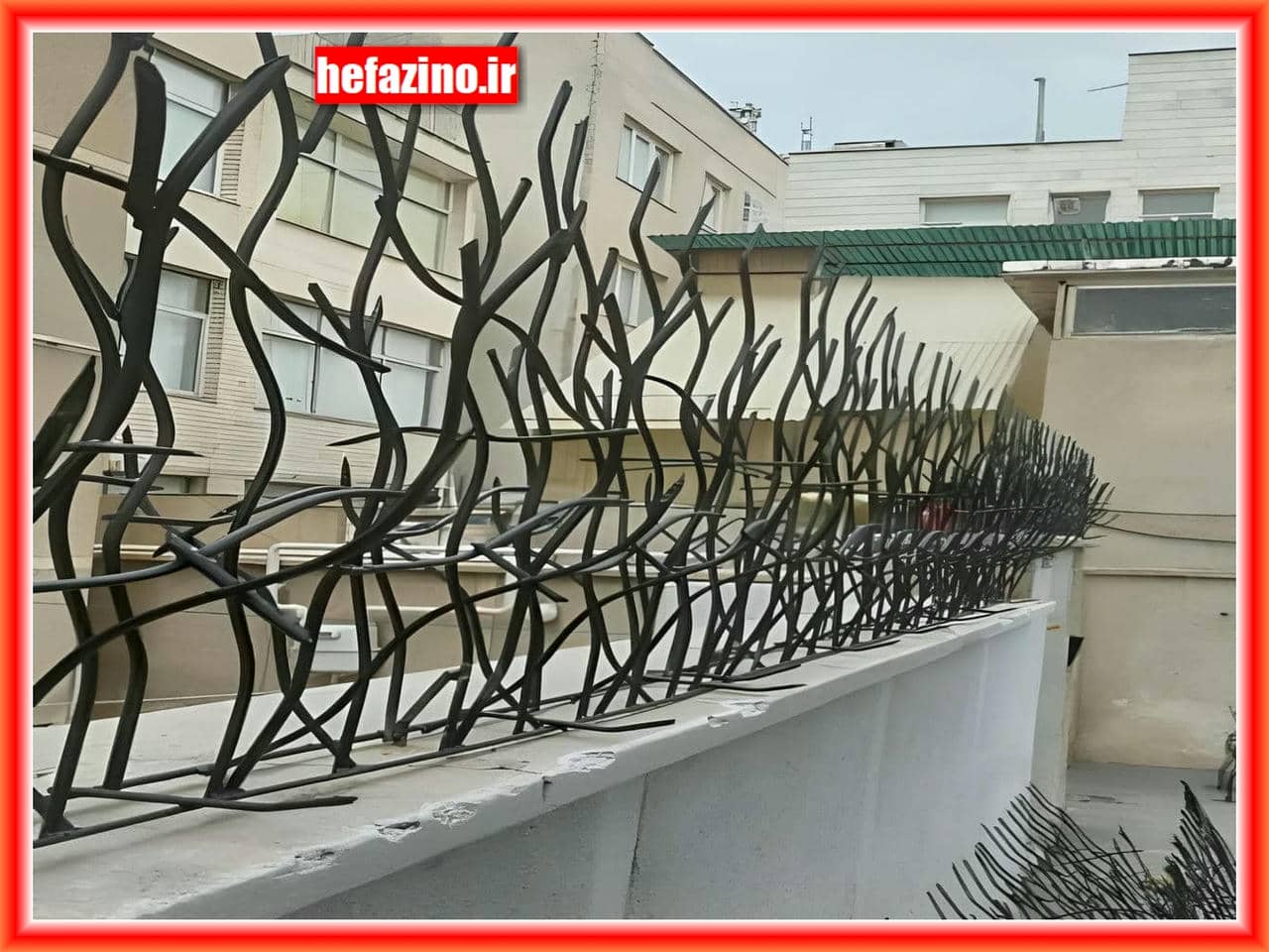 حفاظ شاخ گوزنی | حفاظی نو حفاظ شاخ گوزنی