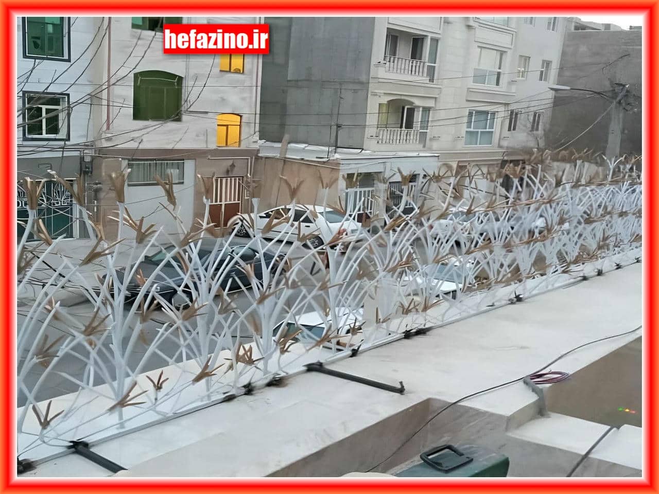 معرفی حفاظ شاخ گوزنی کارخانه حفاظی نو معرفی حفاظ شاخ گوزنی کارخانه حفاظی نو