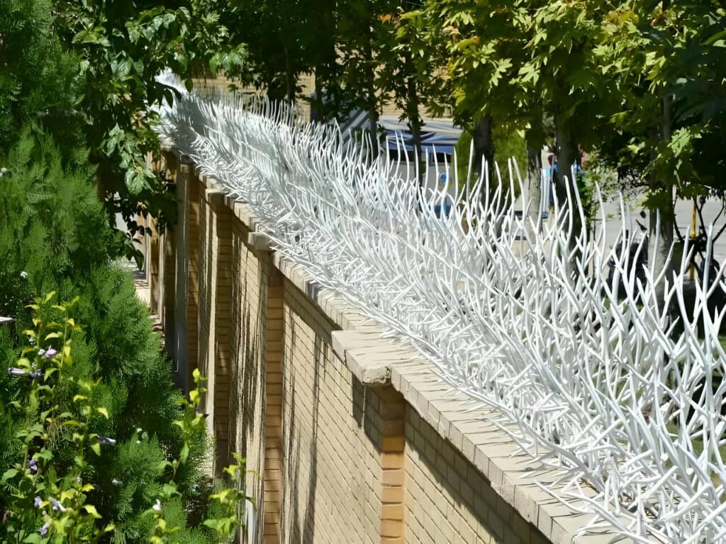 حفاظ شاخ گوزنی حفاظ شاخ گوزنی