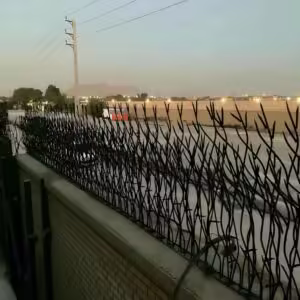 حفاظ بوته ای تراکم 67 حفاظ بوته ای تراکم 67