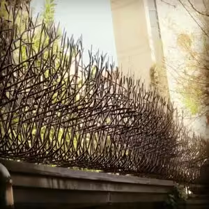 حفاظ بوته ای تراکم 88