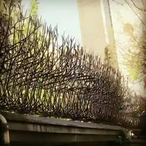 حفاظ بوته ای تراکم 88 حفاظ بوته ای تراکم 88