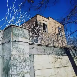 حفاظ شاخ گوزنی تراکم 40 حفاظ شاخ گوزنی تراکم 40