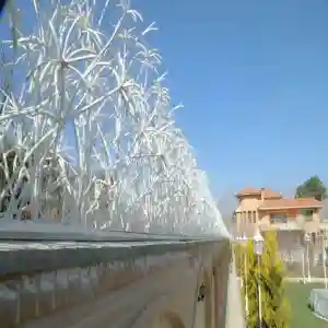 حفاظ نخل مرداب