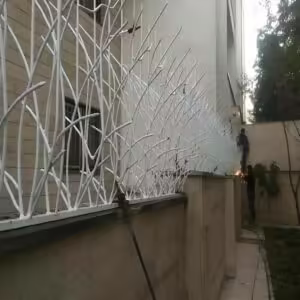 انواع حفاظ شاخ گوزنی