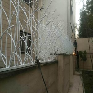 انواع حفاظ شاخ گوزنی