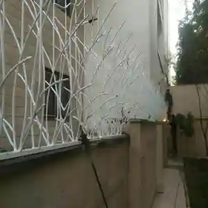 انواع حفاظ شاخ گوزنی