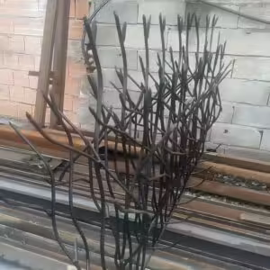 هزینه نصب شاخ گوزنی