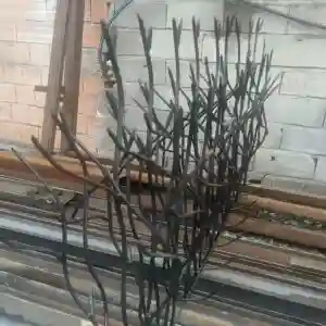 هزینه نصب شاخ گوزنی