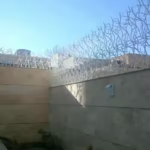 حفاظ شاخ گوزنی چیست؟