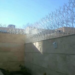 حفاظ شاخ گوزنی چیست؟