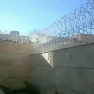 حفاظ شاخ گوزنی چیست؟