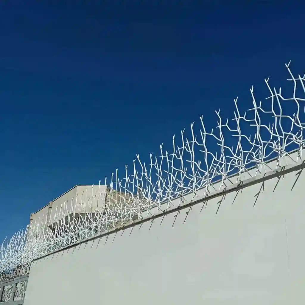 قیمت حفاظ شاخ گوزنی