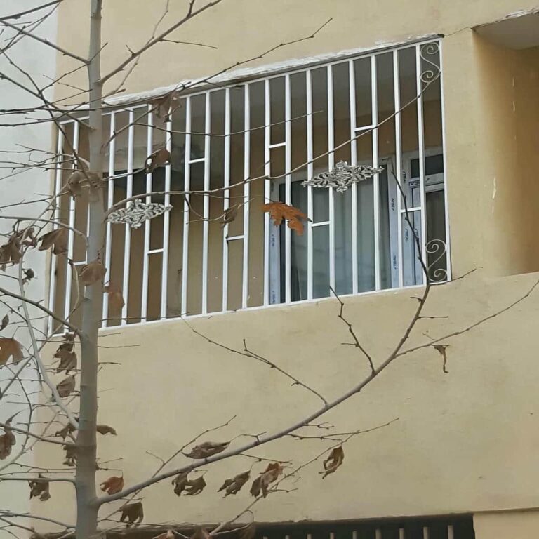 راهنمای خرید حفاظ پنجره