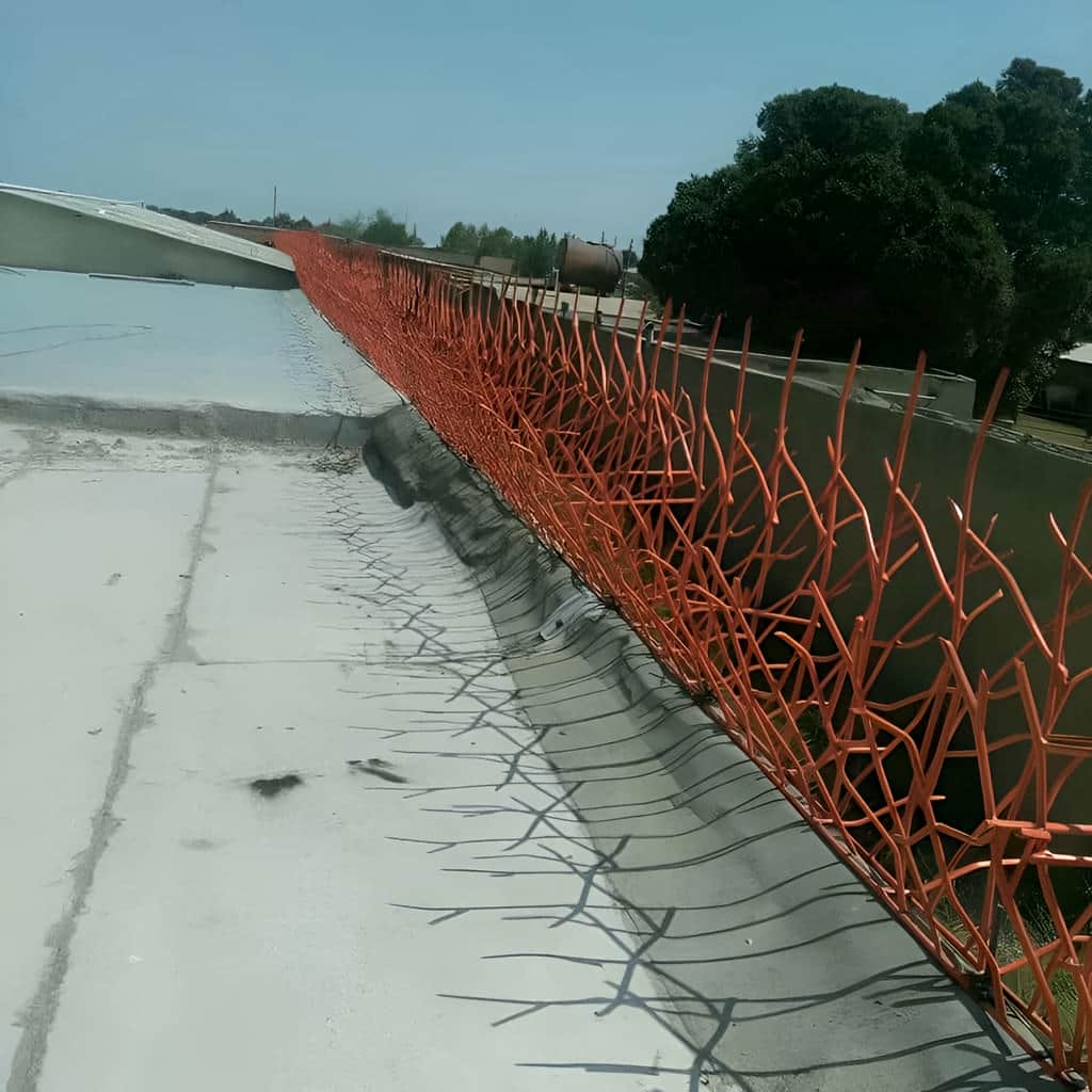 حفاظ دیوار بوته ای