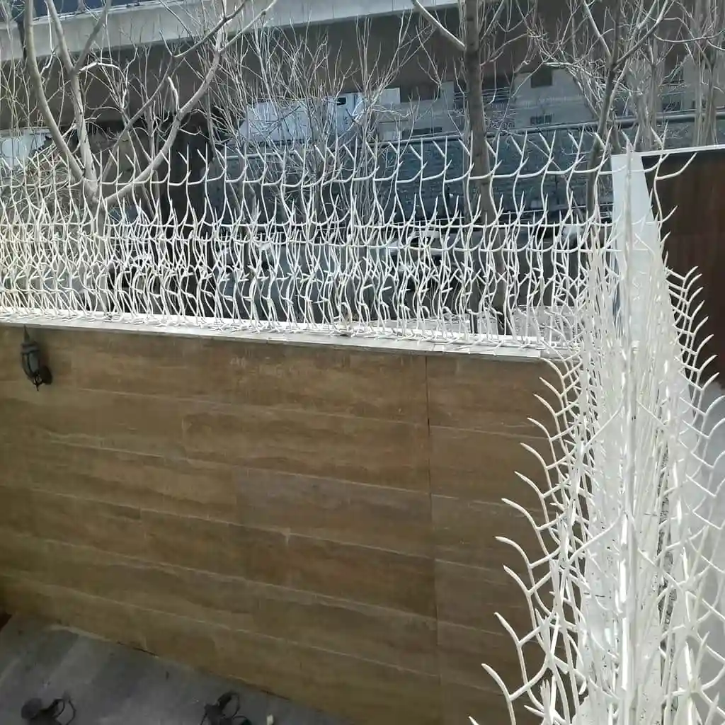 خرید حفاظ بوته ای تراکم 67