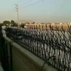 حفاظ بوته ای تراکم 67