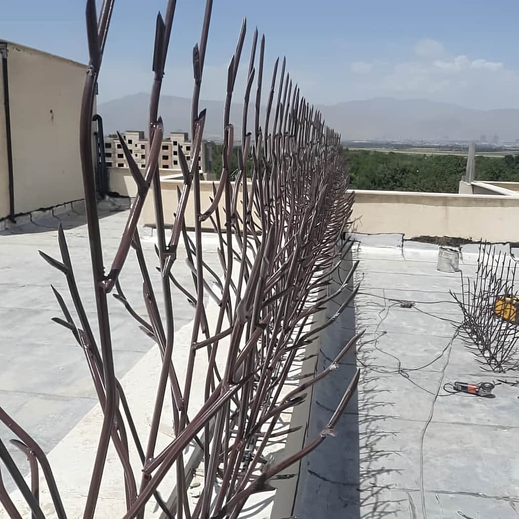 حفاظ شاخ گوزنی تراکم 31