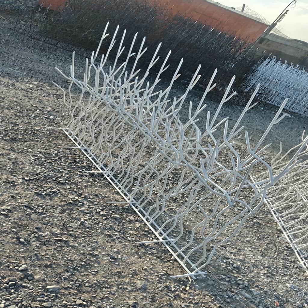 حفاظ ساختمان