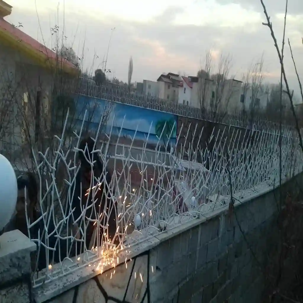 حفاظ محوطه ویلا و باغ