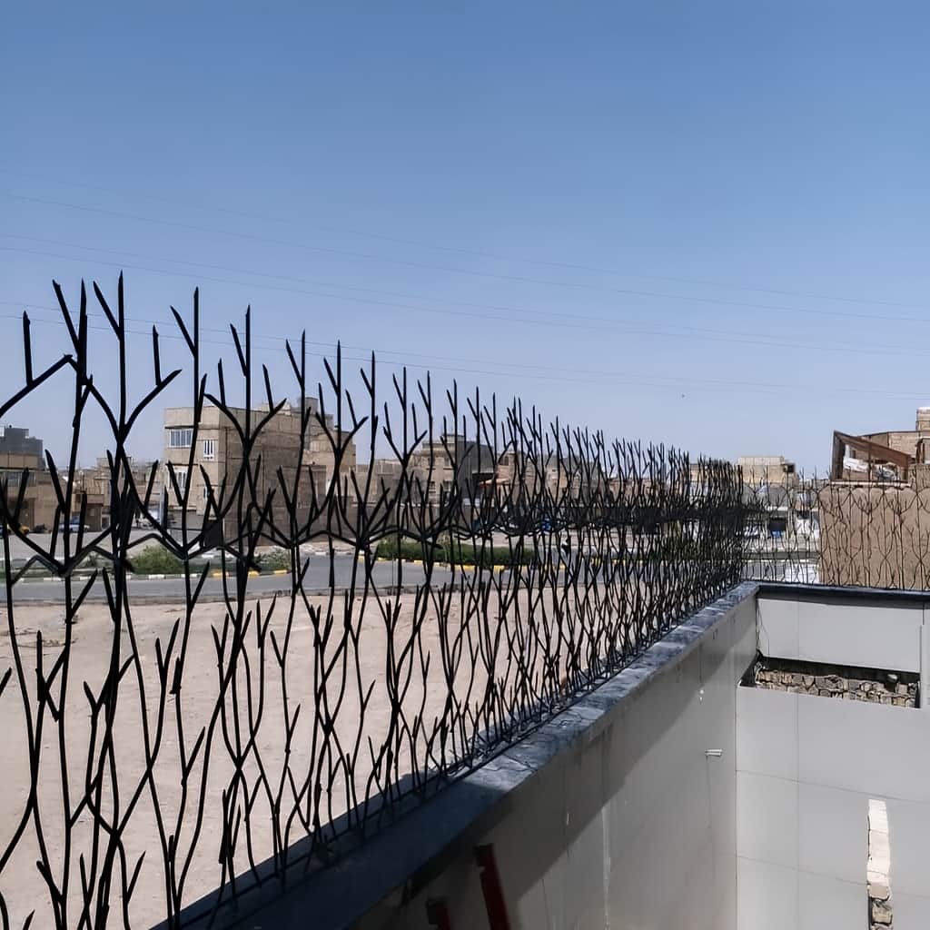 قیمت حفاظ شاخ گوزنی پایه بلند