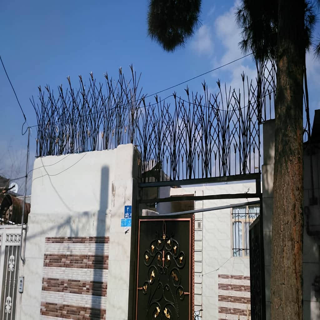 حفاظ فانتزی دیواری