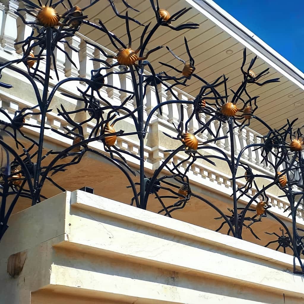 قیمت حفاظ گل آفتابگردان