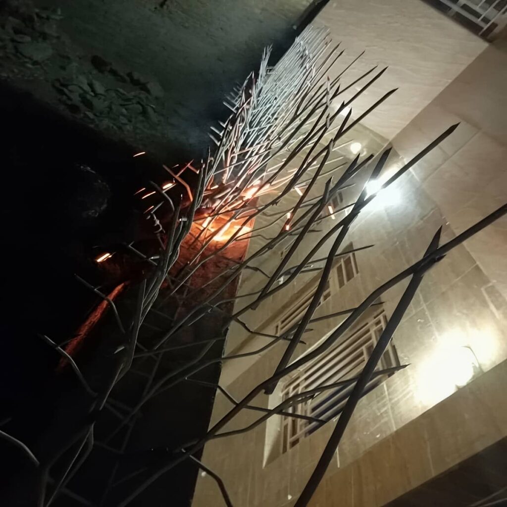 نصب حفاظ شاخ گوزنی تراکم کنترل شده در بندر انزلی