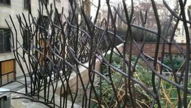 حفاظ شاخ گوزنی در سبزوار