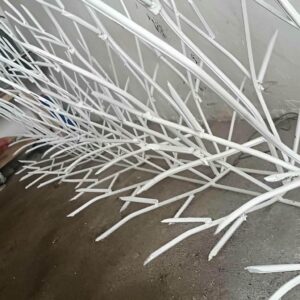 حفاظ شاخ گوزنی در کیش