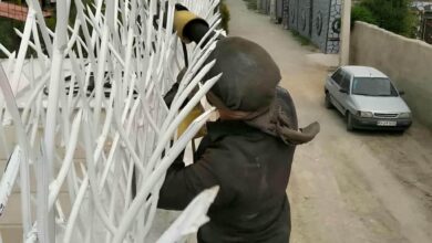 حفاظ شاخ گوزنی در رامسر