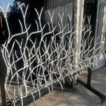 حفاظ شاخ گوزنی در رفسنجان
