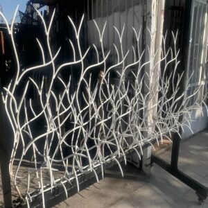 حفاظ شاخ گوزنی در رفسنجان