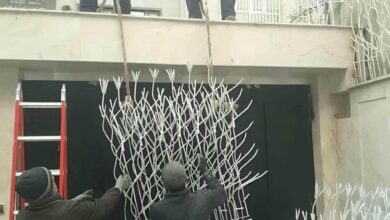 حفاظ شاخ گوزنی در نیشابور