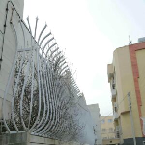 حفاظ شاخ گوزنی در کرمان