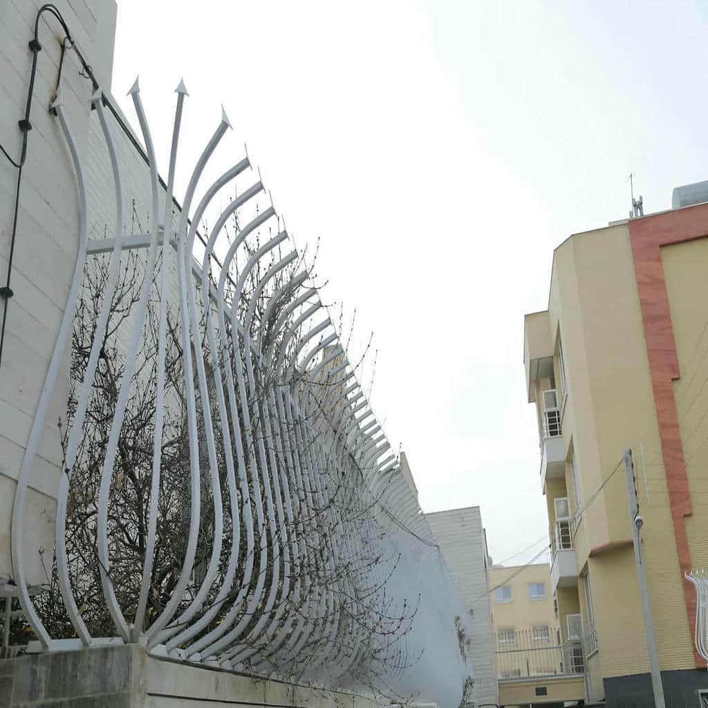 حفاظ شاخ گوزنی در کرمان