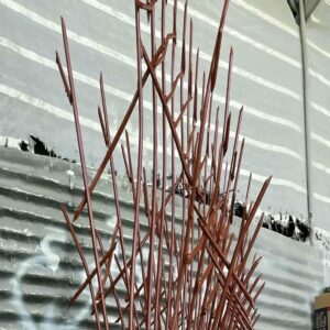 حفاظ شاخ گوزنی در مهرشهر کرج
