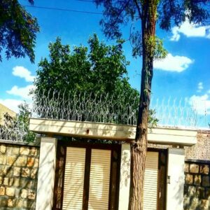 حفاظ شاخ گوزنی در آبادان