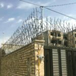 حفاظ شاخ گوزنی در چالوس