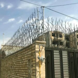 حفاظ شاخ گوزنی در چالوس